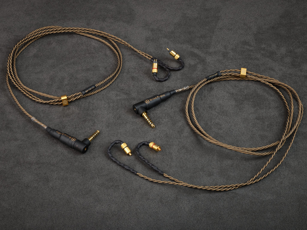 Brise Audio NISHIKI, 10th Anniversary