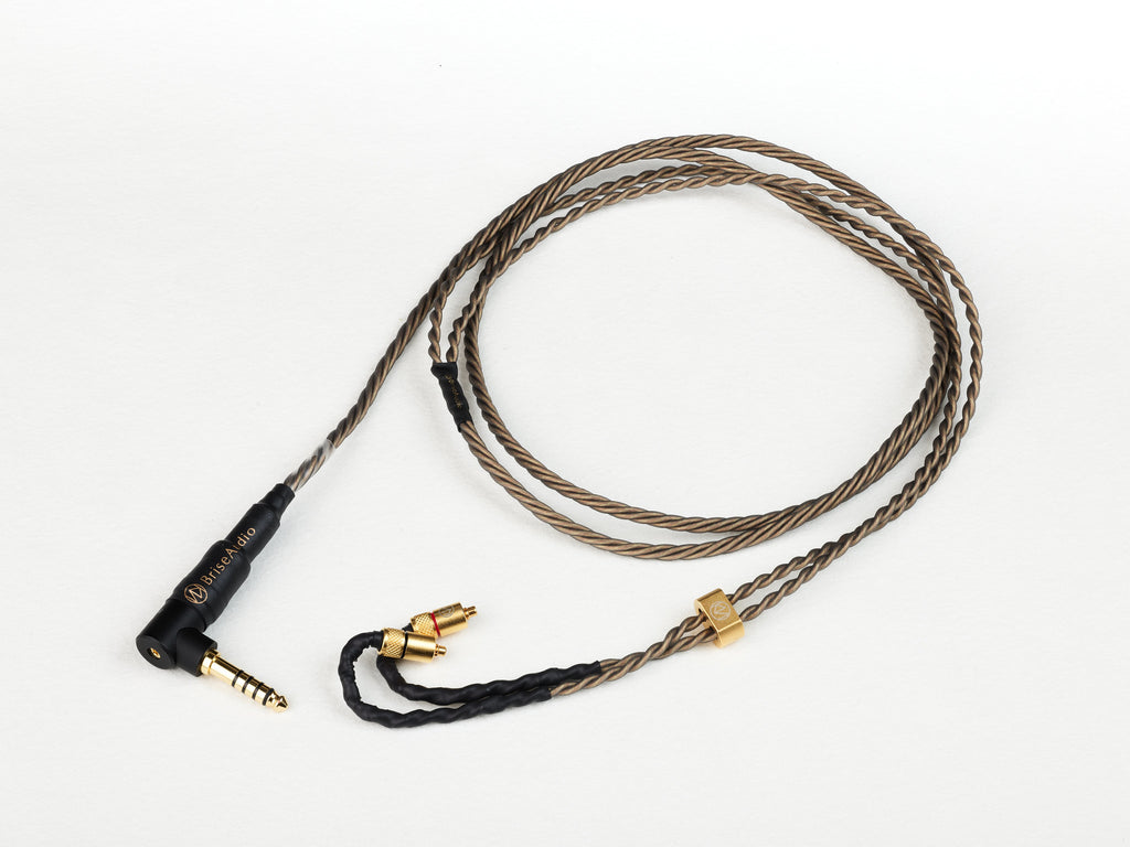 Brise Audio NISHIKI, 10th Anniversary