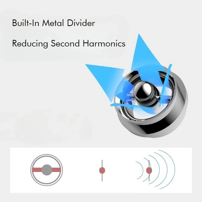 SHANLING SE100 Silicone Eartips