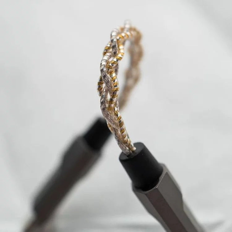 Luxury & Precision WP2