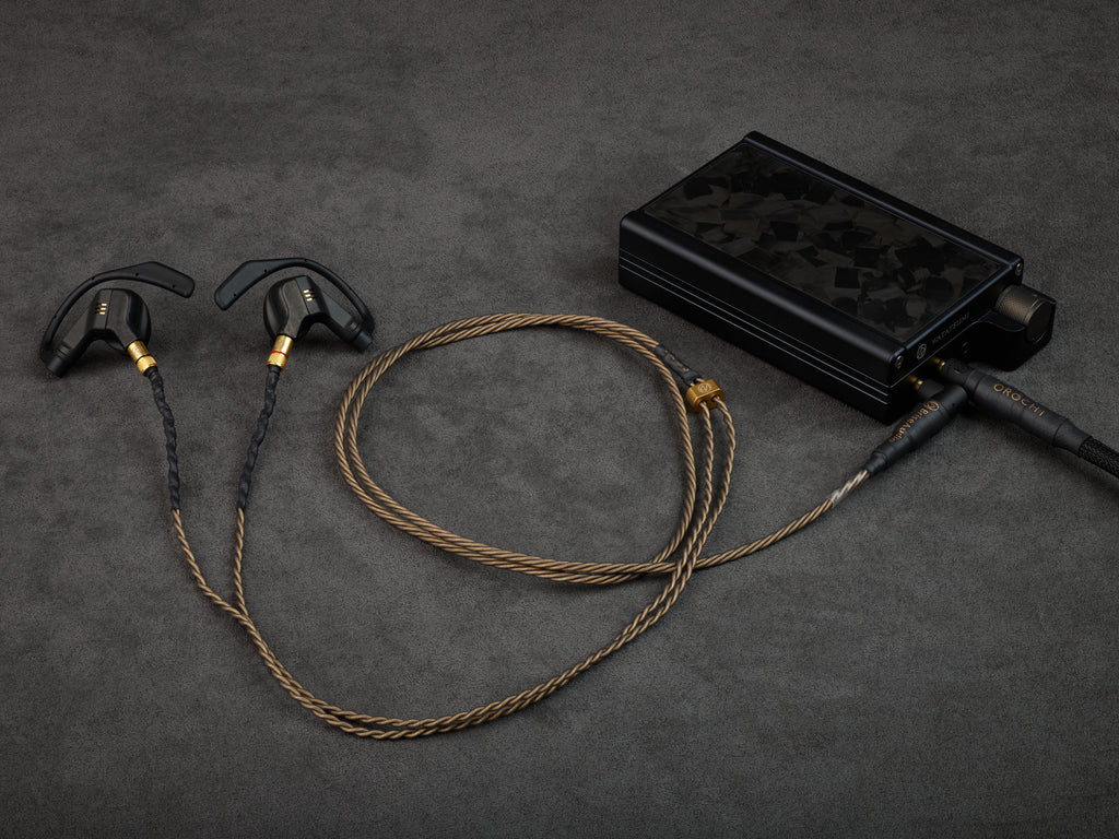 Brise Audio NISHIKI, 10th Anniversary